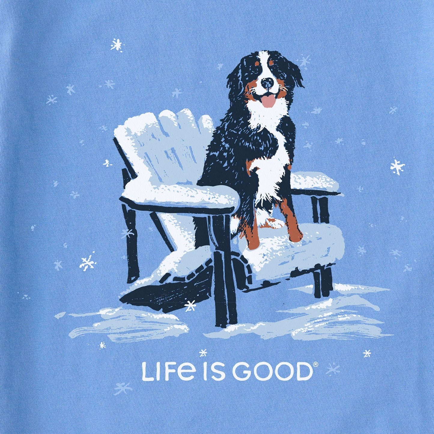 Women's Snowy Adirondack Bernese Long Sleeve Crusher Tee