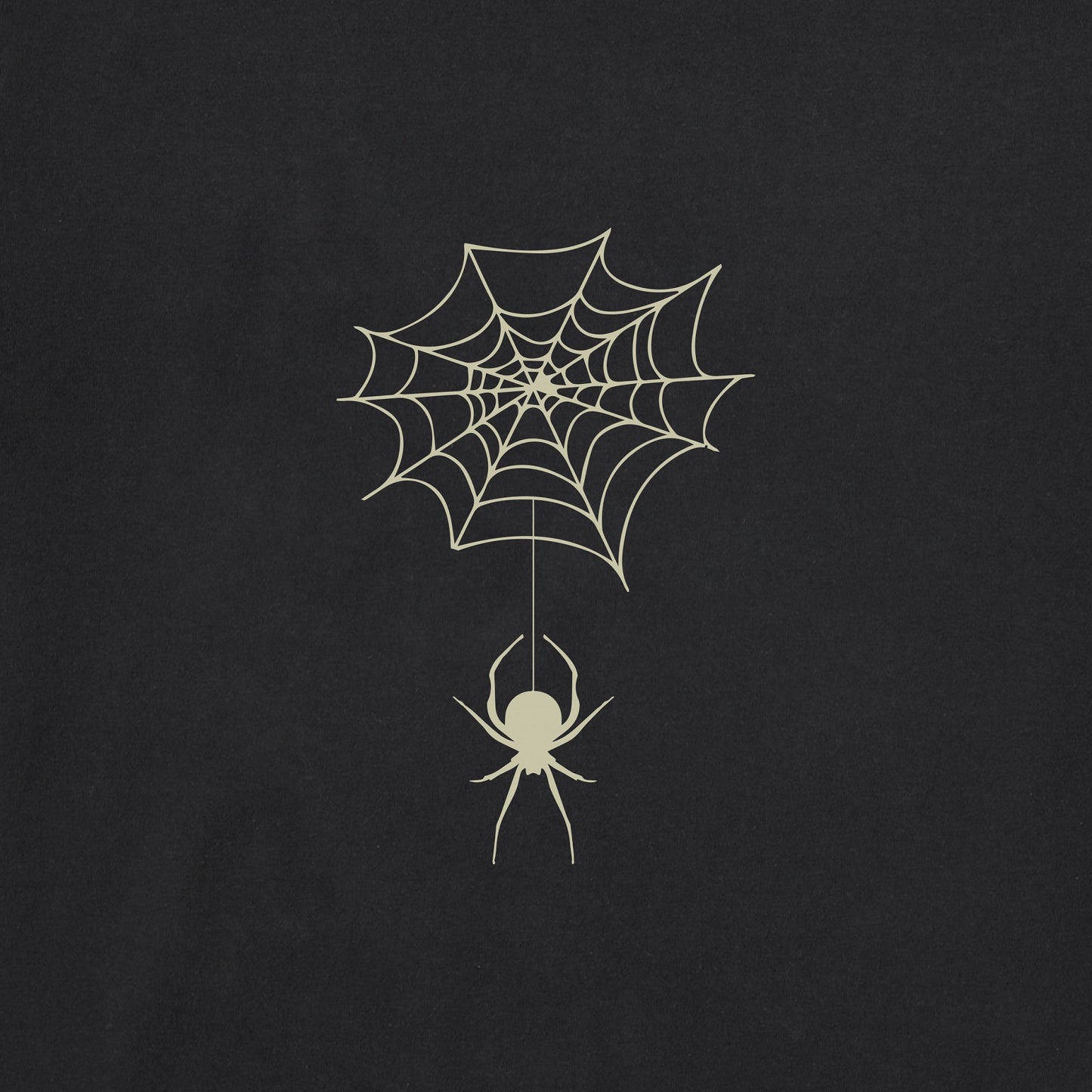 Women's Spooky Spiderweb Long Sleeve Crusher Tee