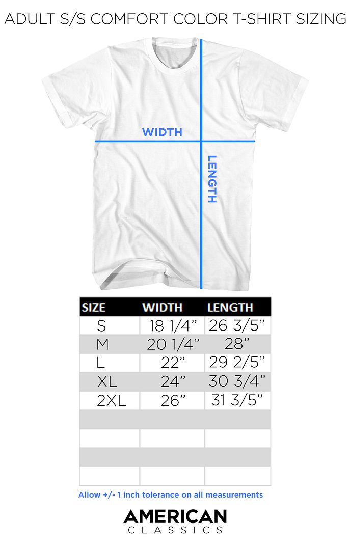 Bruce Lee - Perpendicular Punch - American Classics - Solid Gray Adult Short Sleeve Comfort Color T-Shirt