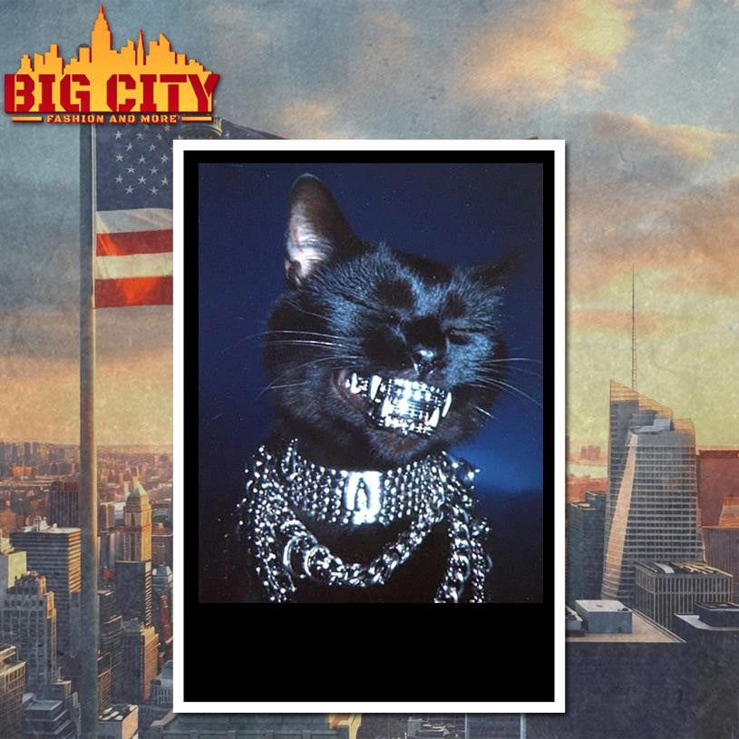 Cat With Grill Shirt