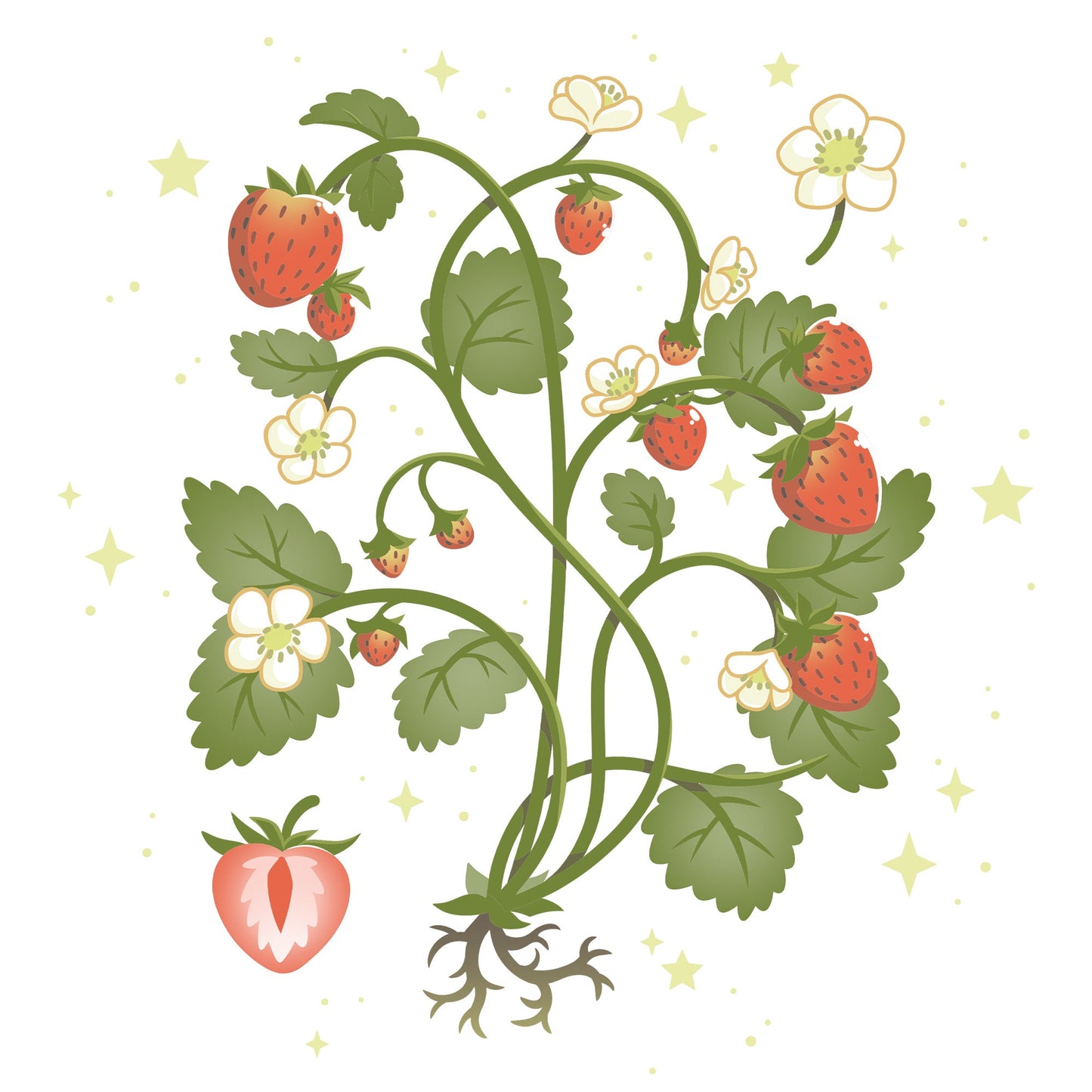 Strawberry Harvest