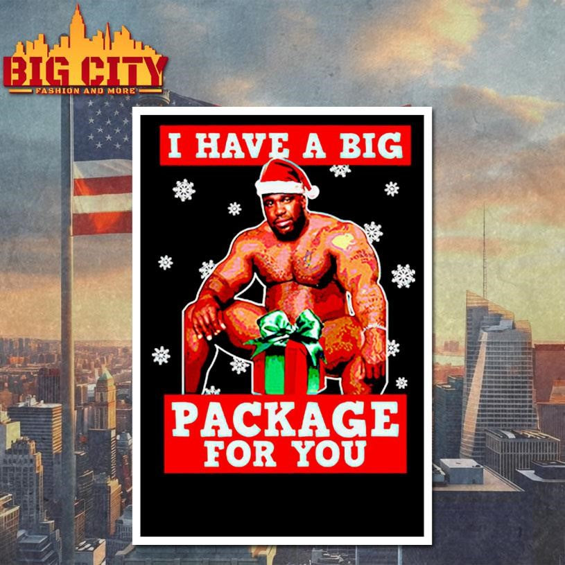 I Have A Big Package For You Shirt