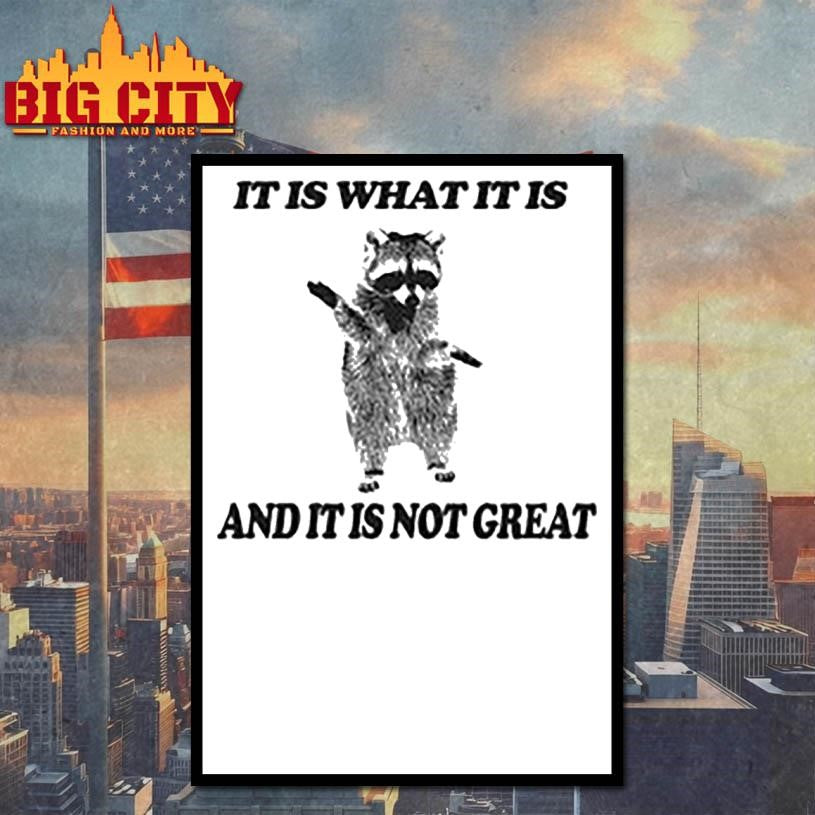 It Is What It Is Opossum Raccoon Shirt