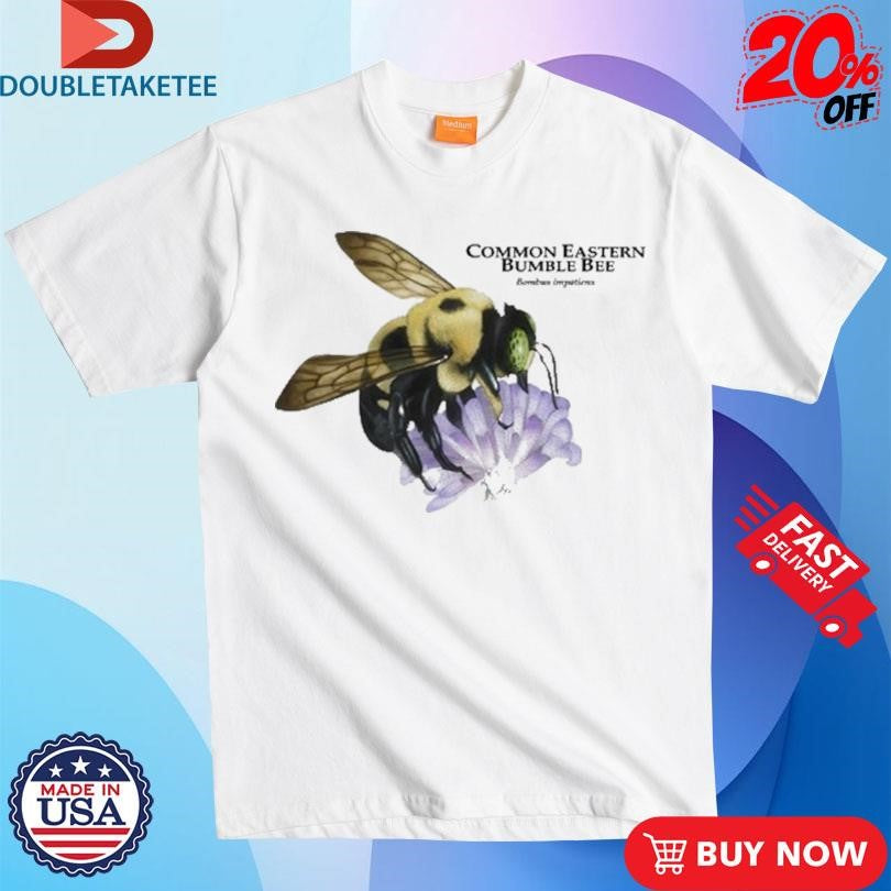 Official Roger Hall Common Eastern Bumble Bee Shirts