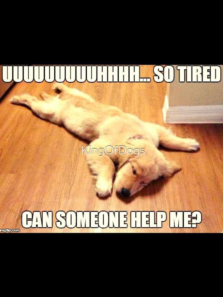 Help Me Dog by KingOfDogs