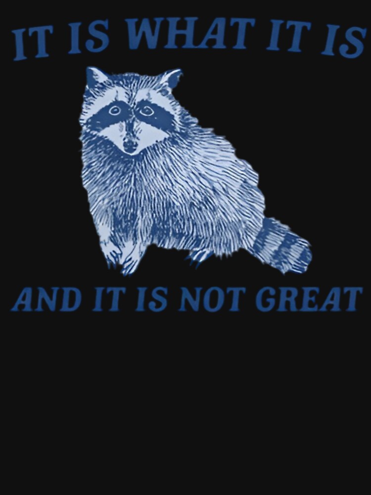 It Is What It Is And It Is Not Great , Funny Raccoon Unisex by Dreams come true