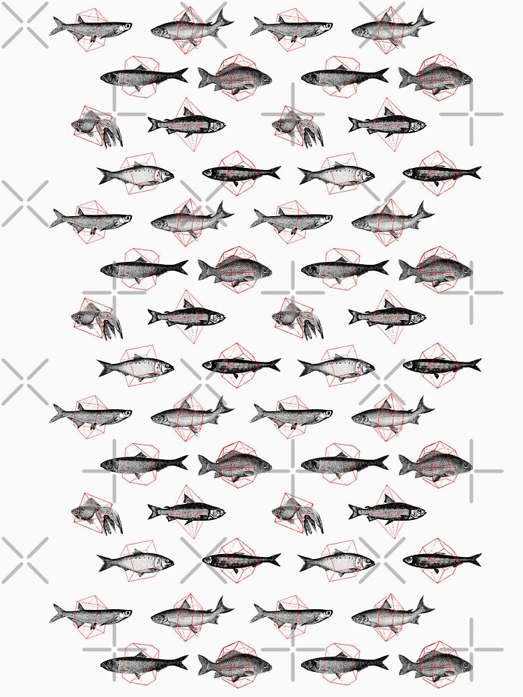 Fishes in Geometrics by florentbodart