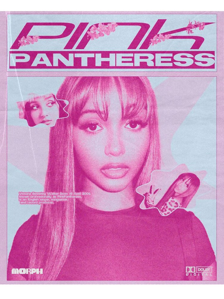 pinkpantheress by lovely distractions