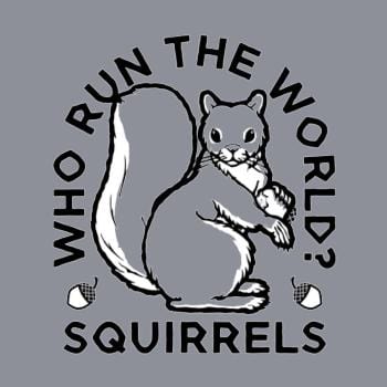 Squirrels Hoodie