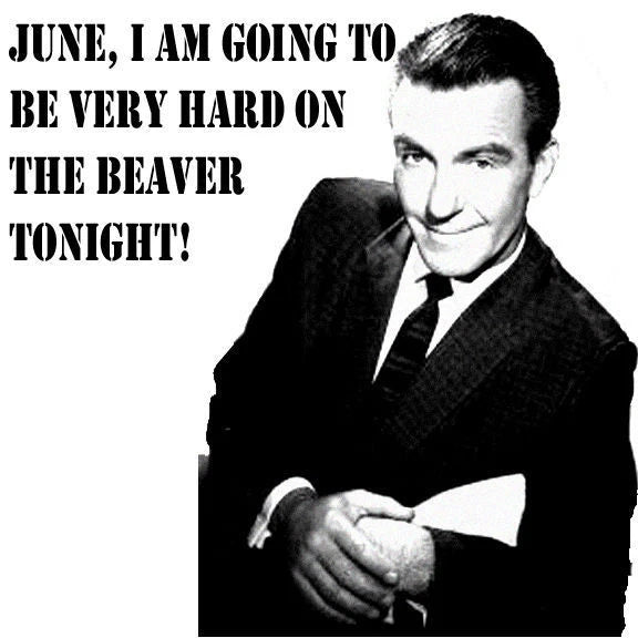 Leave it to Beaver Ward Cleaver Hard on the Beaver t-shirt100% cotton