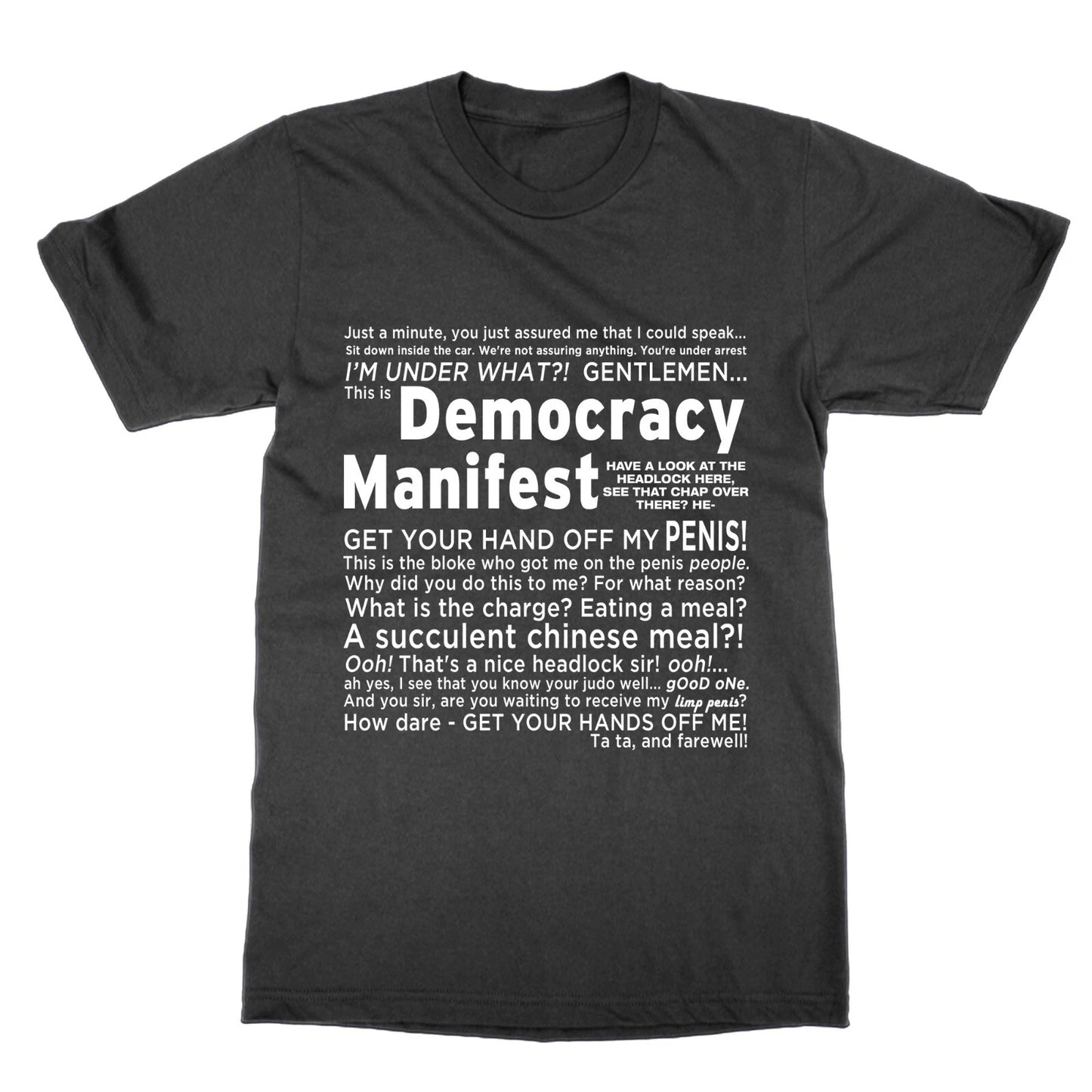 This is Democracy Manifest t-shirt funny top tee succulent meal present gift