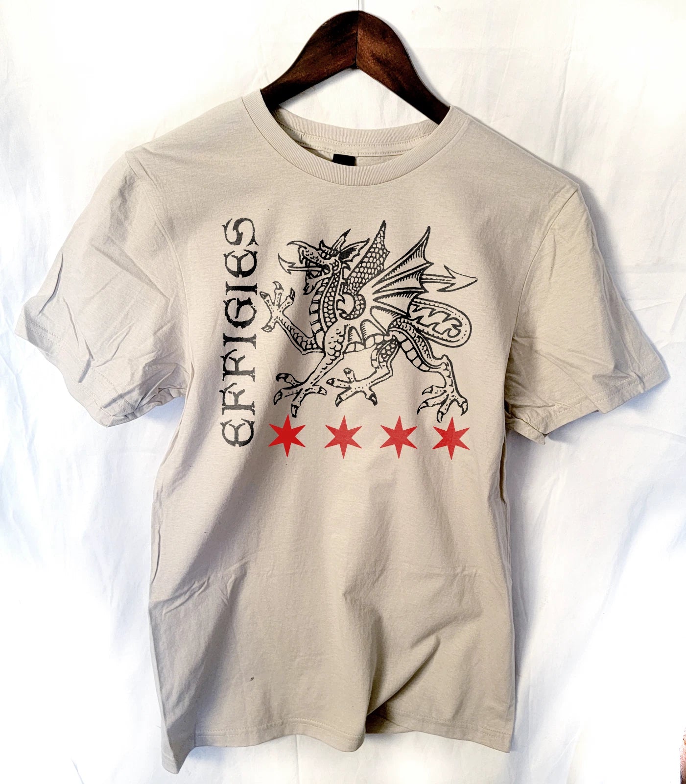 the Effigies band t shirt chicago punk hardcore