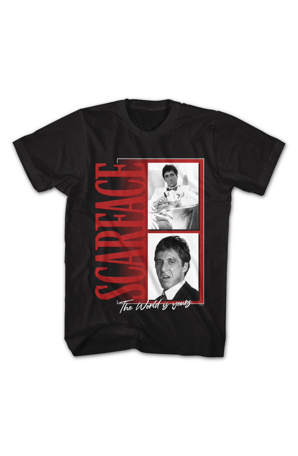 The World Is Yours Photos Scarface T-Shirt