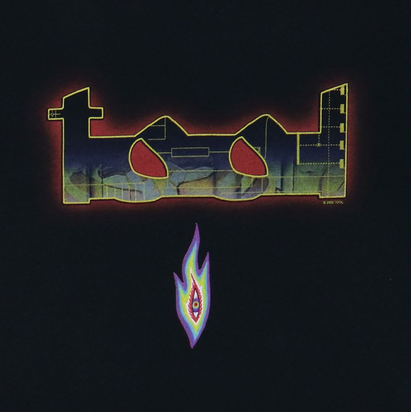2002 Tool In Side The Out Side Tour Shirt