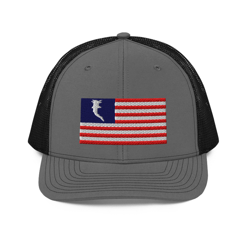 Flag Embroidered RWB (Snapback)