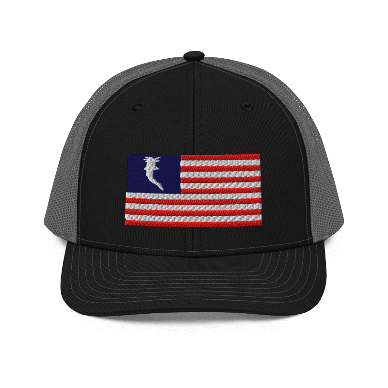 Flag Embroidered RWB (Snapback)