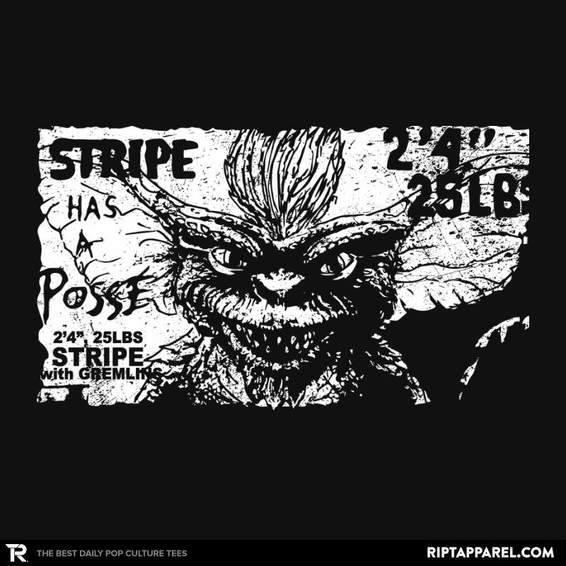 Stripe Has a Posse