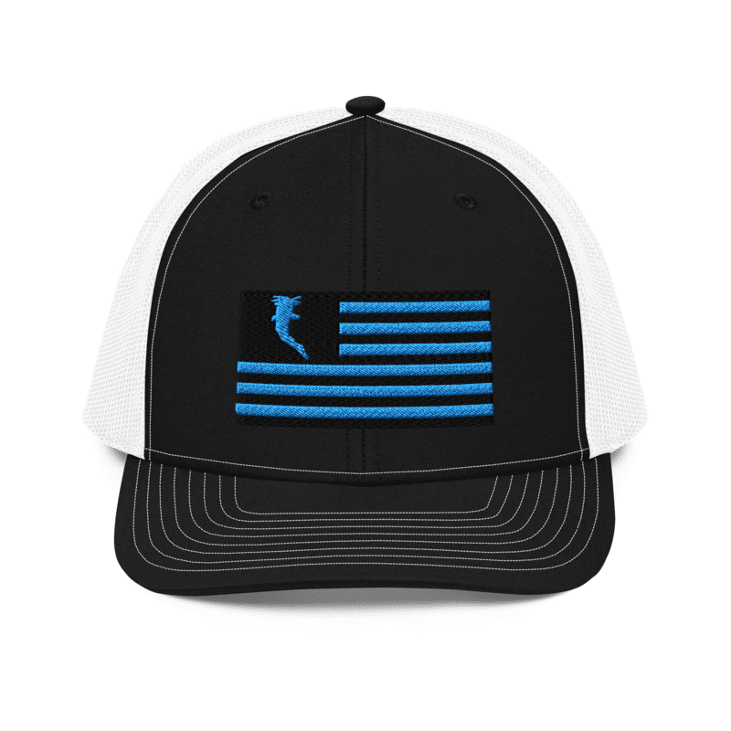 Flag Embroidered Car. Blue (Snapback)