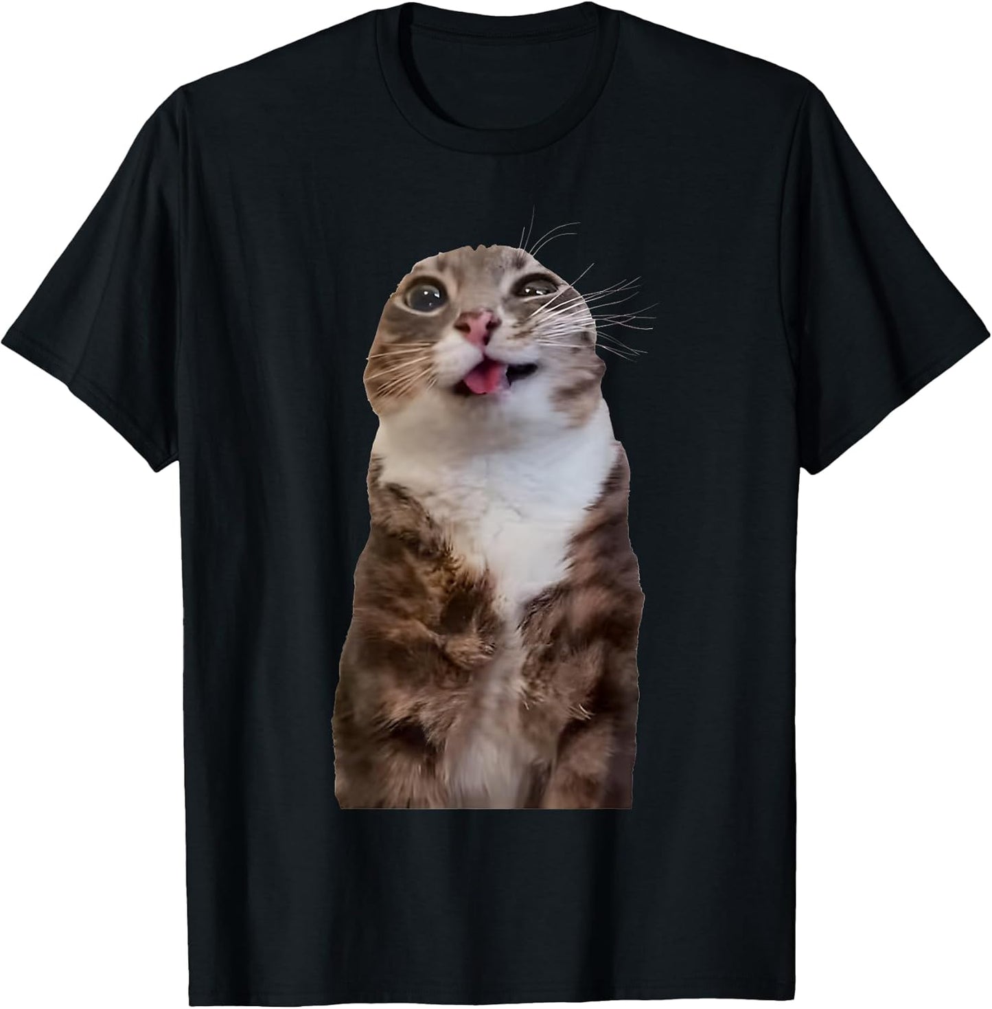 Rigby Cat Merch