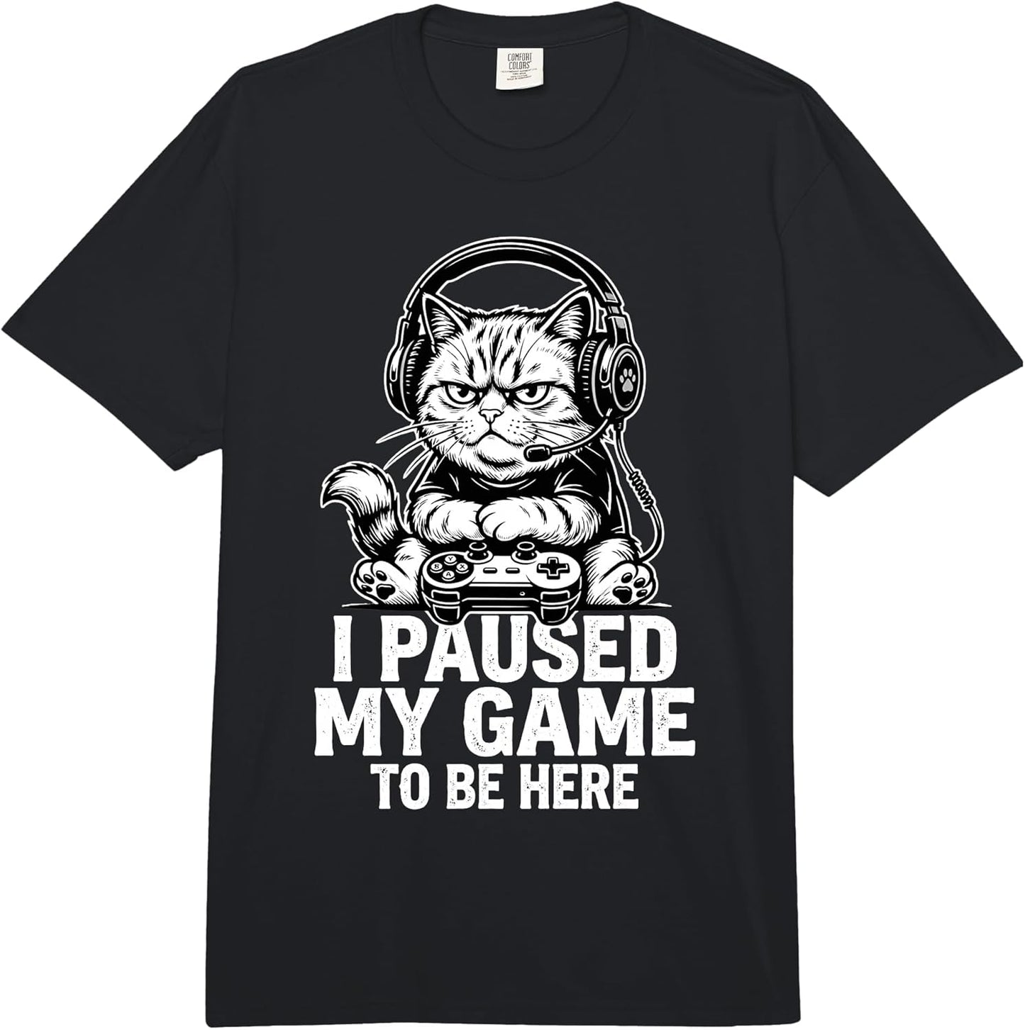 I Paused My Game Cat Collection