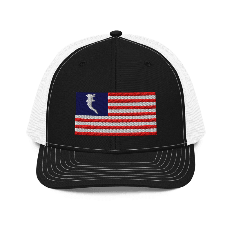 Flag Embroidered RWB (Snapback)