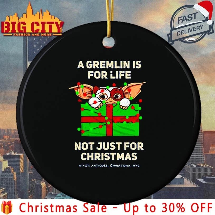 A Gremlin is for life not just for christmas shirt