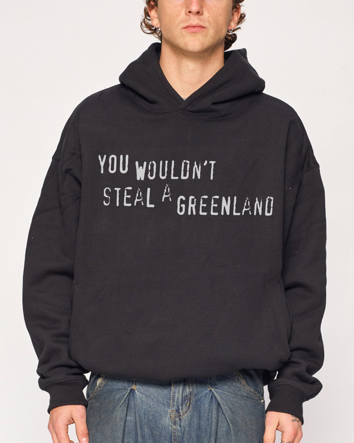 You Would’t Steal A Greenland Hoodie