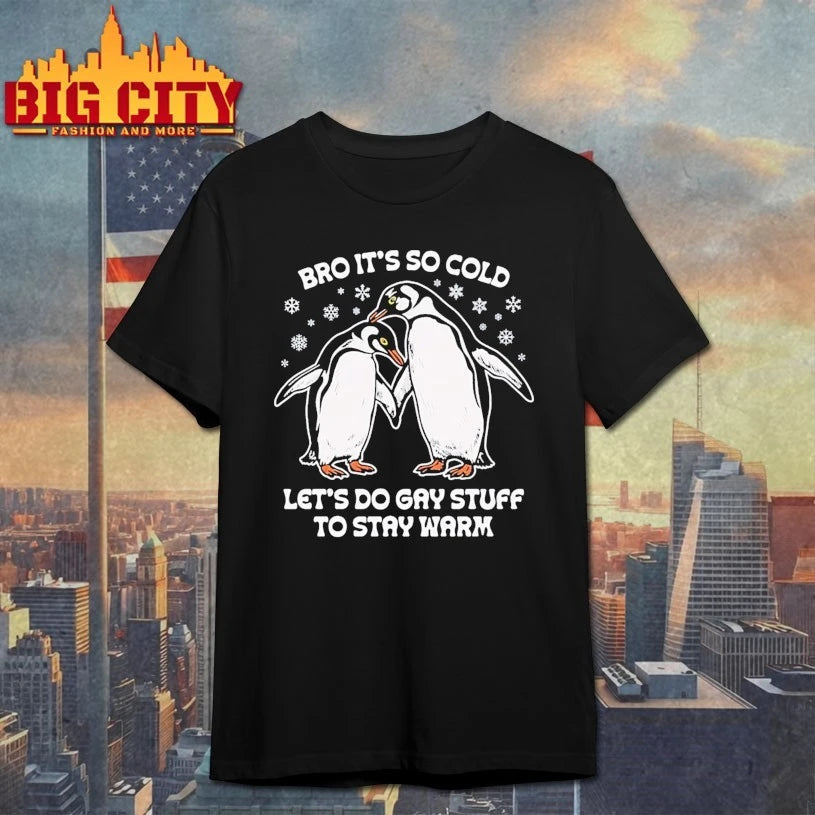 Bro It’s So Cold Let’s Do Gay Stuff To Stay Warm t-shirt