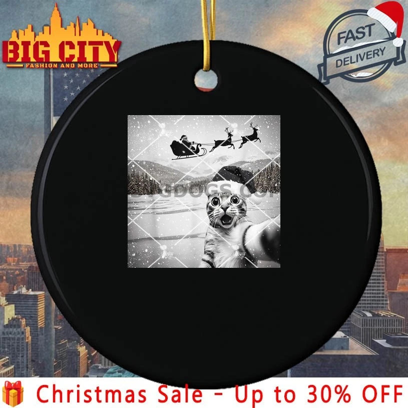 Cat Selfie with Santa Christmas 2025 meme shirt