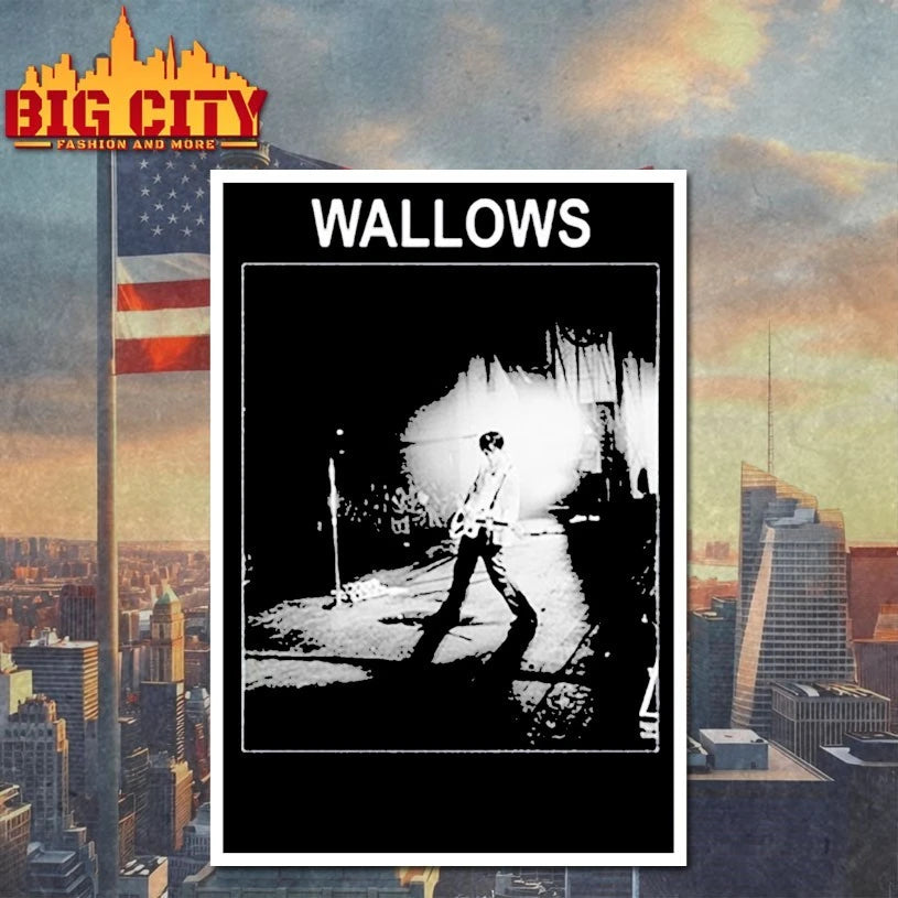 Dylan Photo Wallows shirt