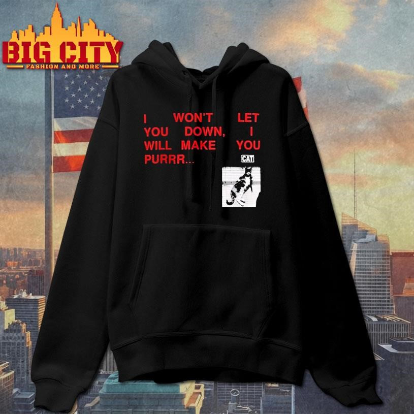 Funny I Wont Let You Down Cat Shirt