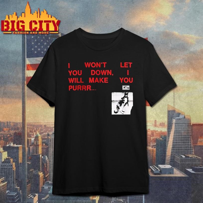Funny I Wont Let You Down Cat Shirt