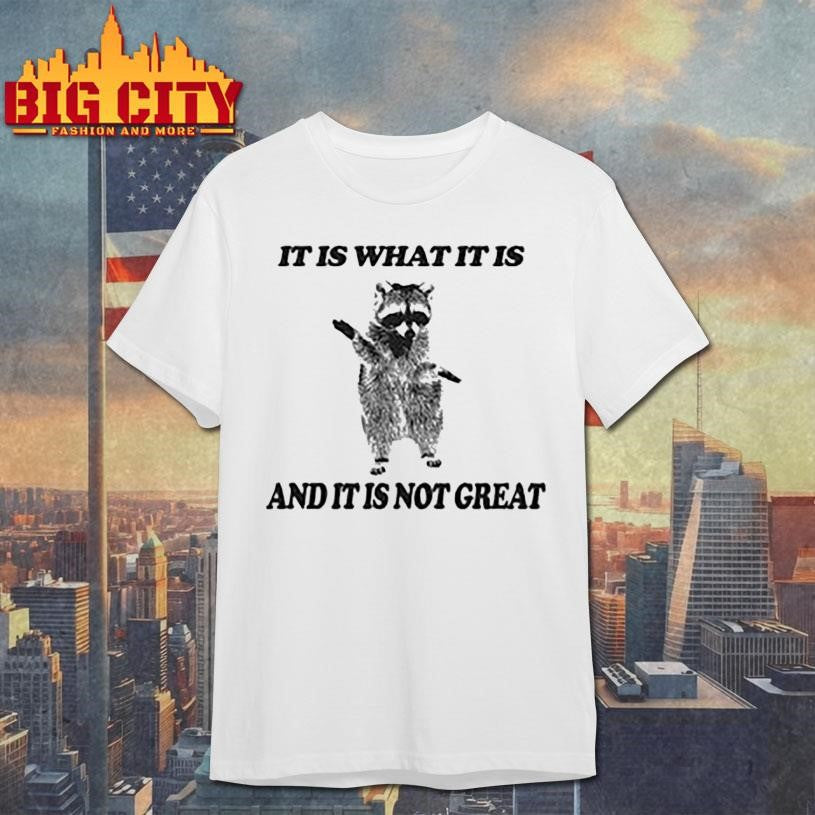 It Is What It Is Opossum Raccoon Shirt