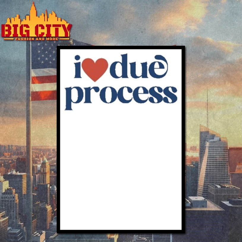 Katie Phang Wearing I Love Due Process shirts