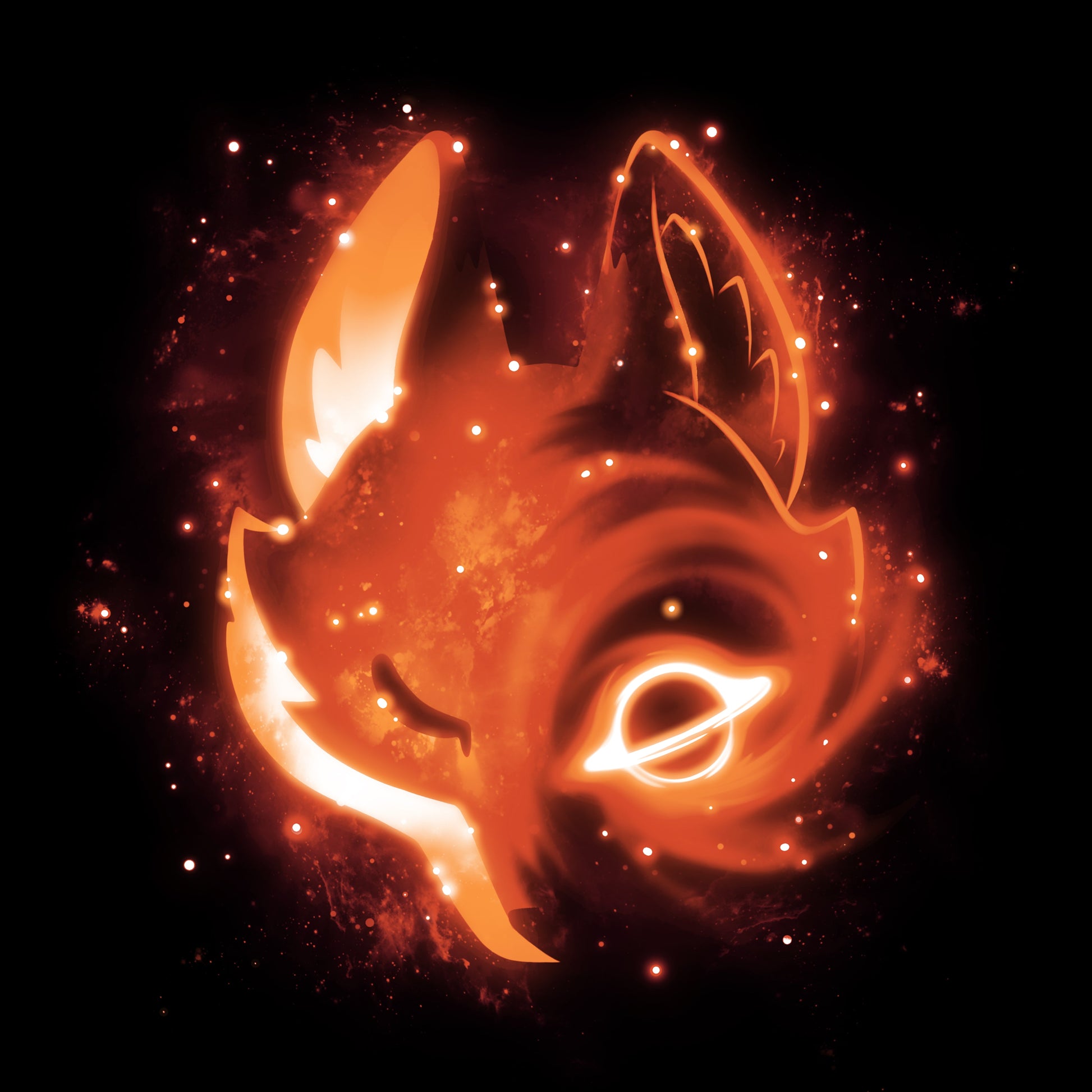 Black Hole Fox