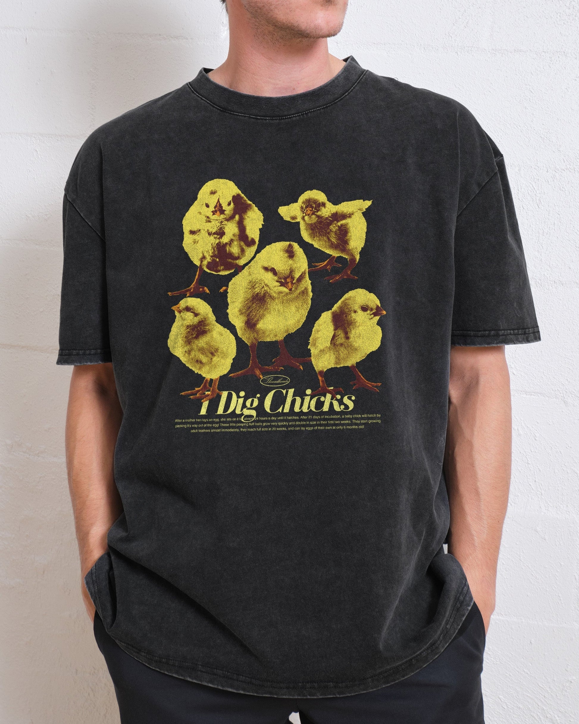 I Dig Chicks Oversized Tee