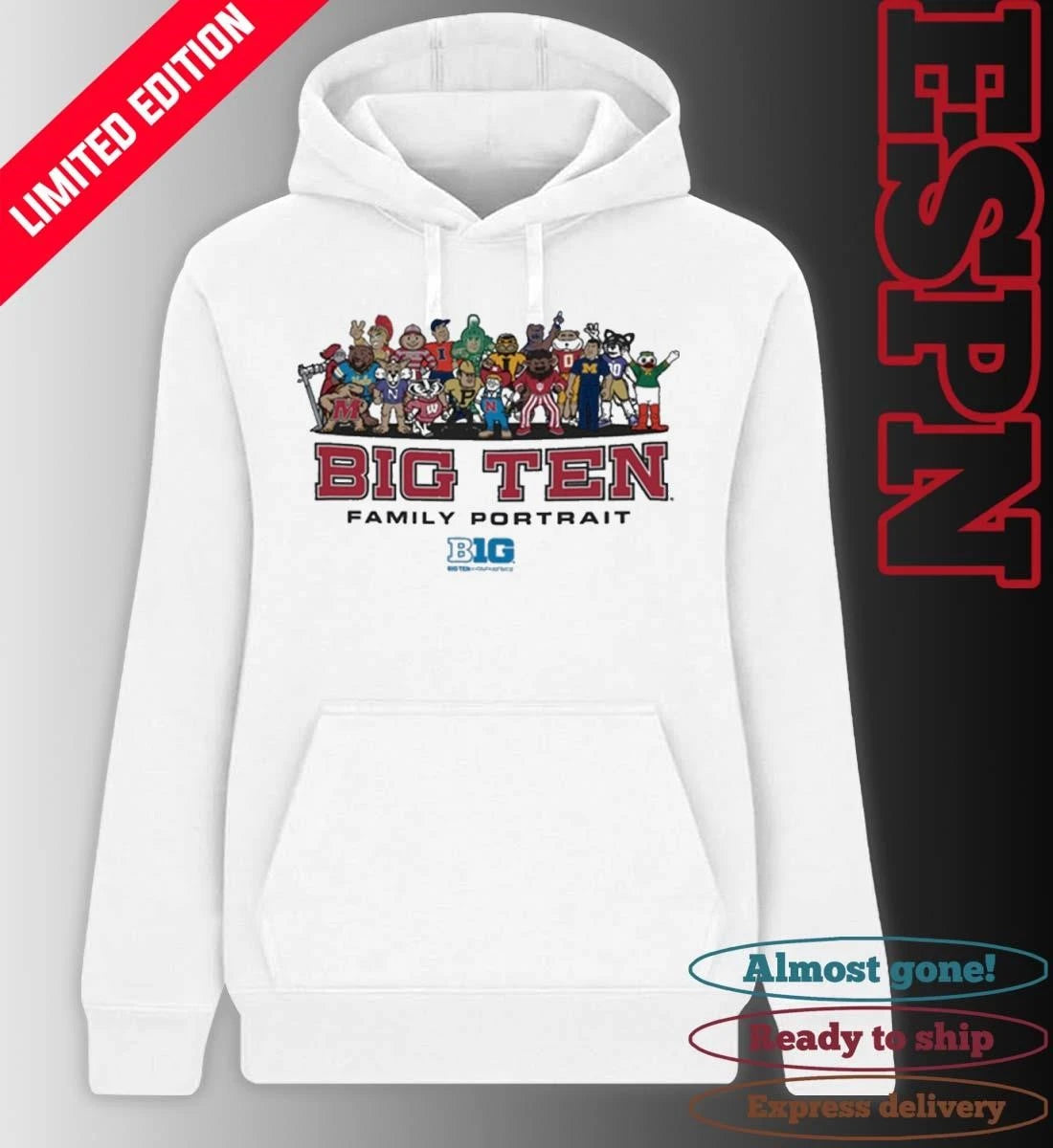 Official Big Ten Family Portrait Mascots Shirt