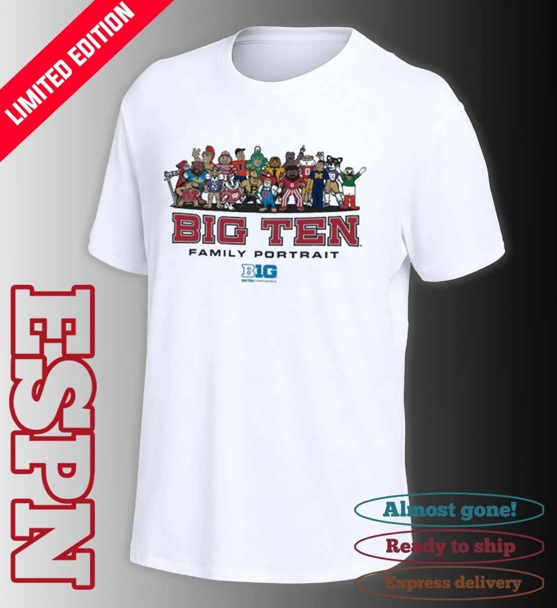 Official Big Ten Family Portrait Mascots Shirt