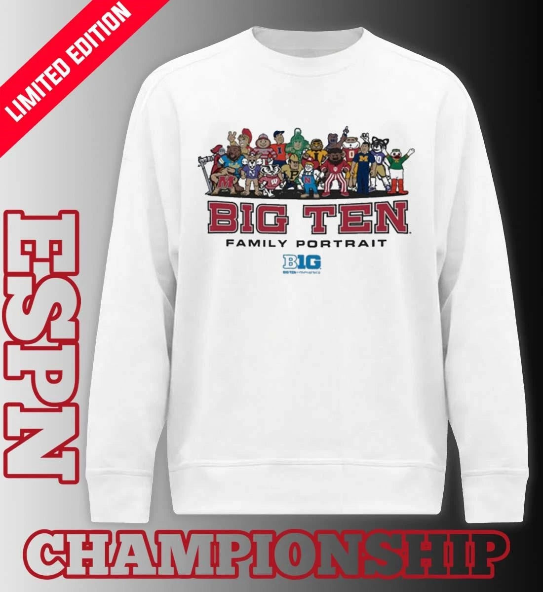 Official Big Ten Family Portrait Mascots Shirt