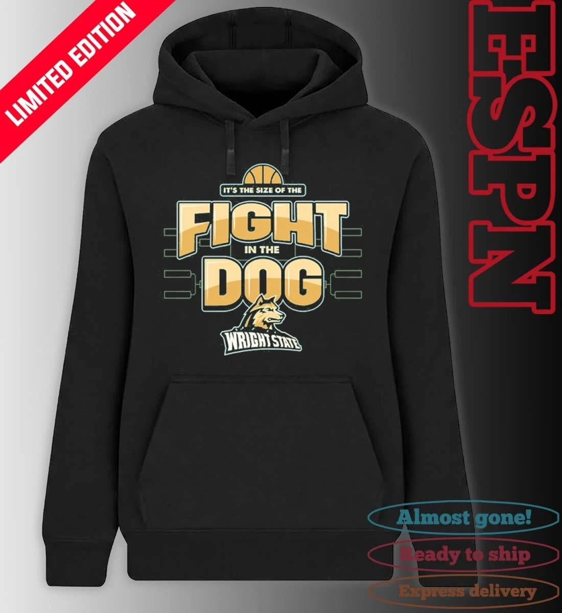 Official Fight in the Dog Wright State University Basketball March Madness shirt
