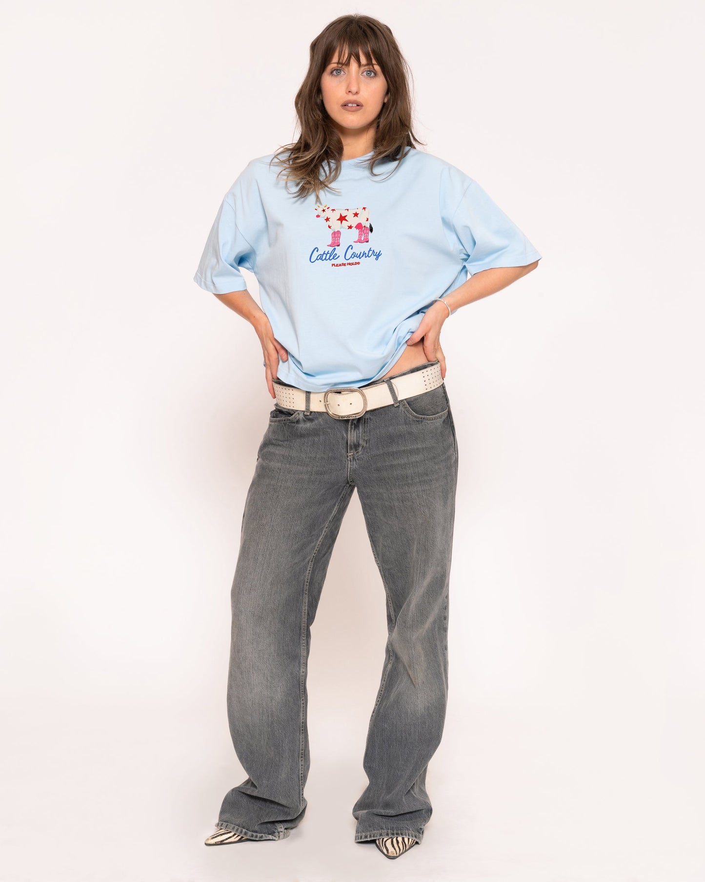Cattle Country Boxy Crop Tee