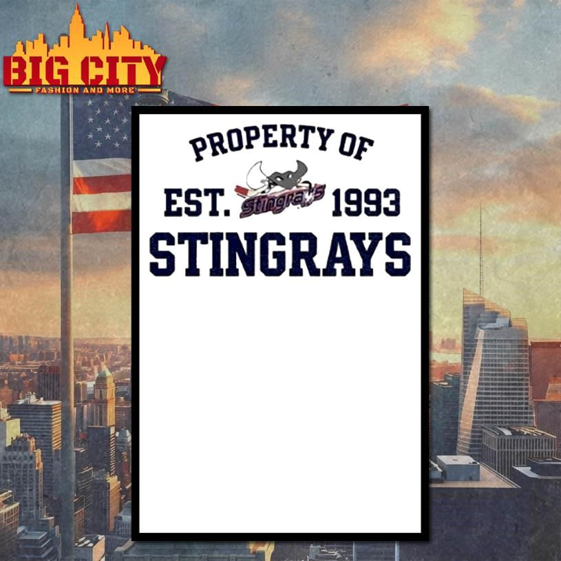 Property Of Stingrays Est 1993 Logo Vintage Shirt