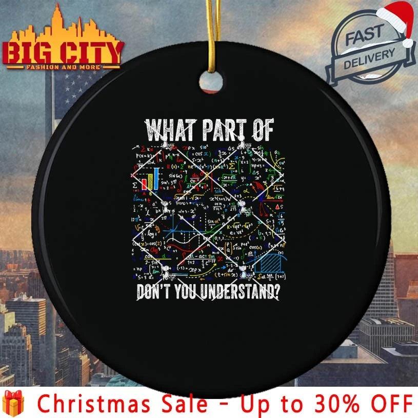 What Part of Don’t You Understand Funny Math Sarcastic shirt