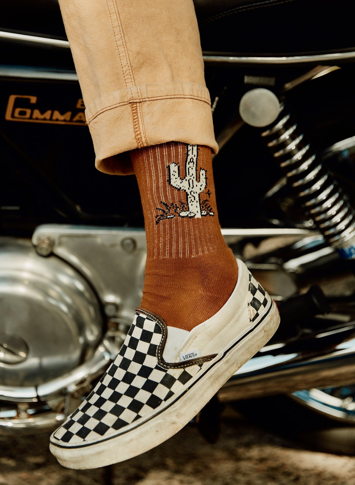 Cactus Taco Socks