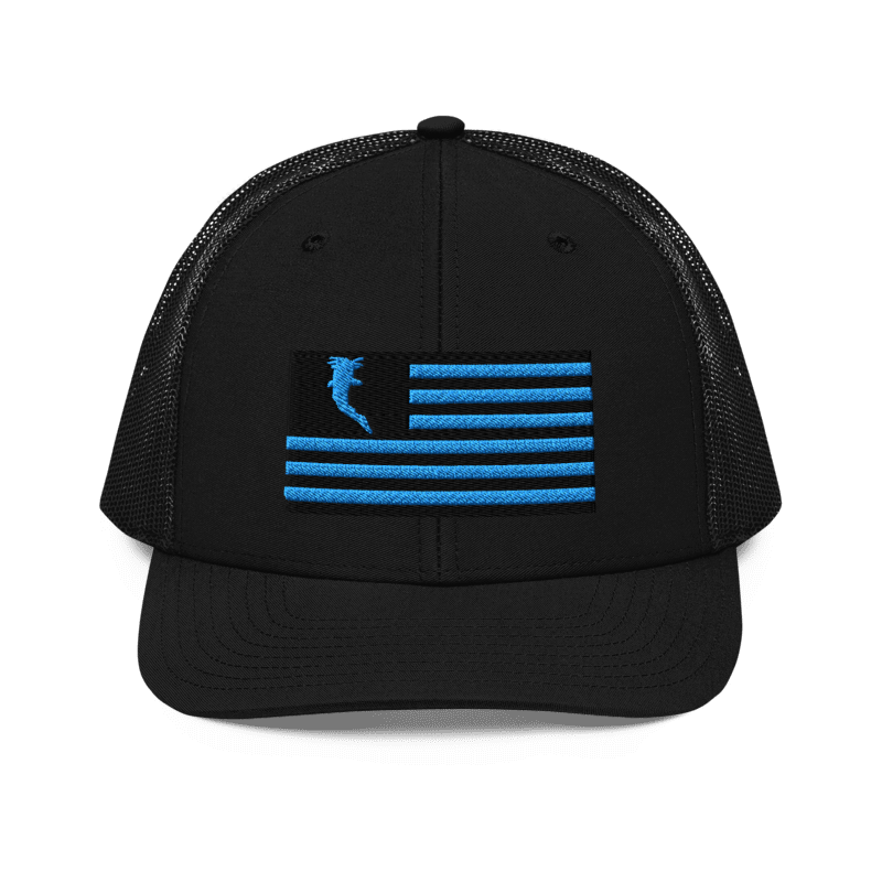 Flag Embroidered Car. Blue (Snapback)