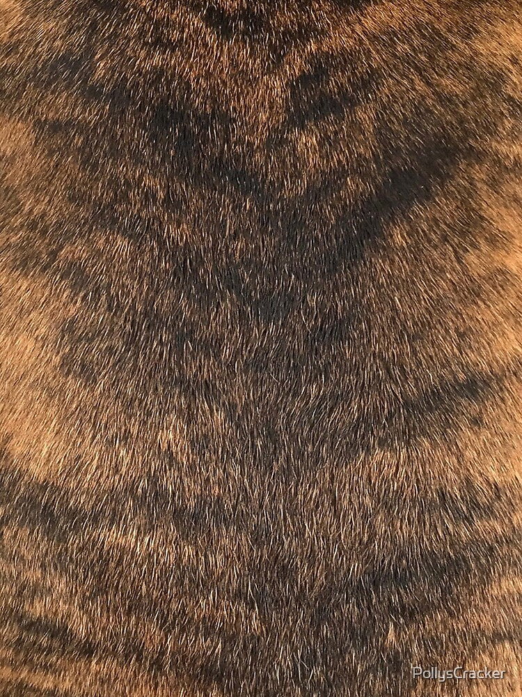 Brindle Animal Print, Brown Brindle Dog by PollysCracker
