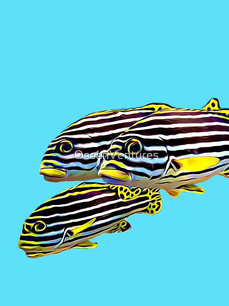 Oriental Sweetlips Fish by OceanVentures