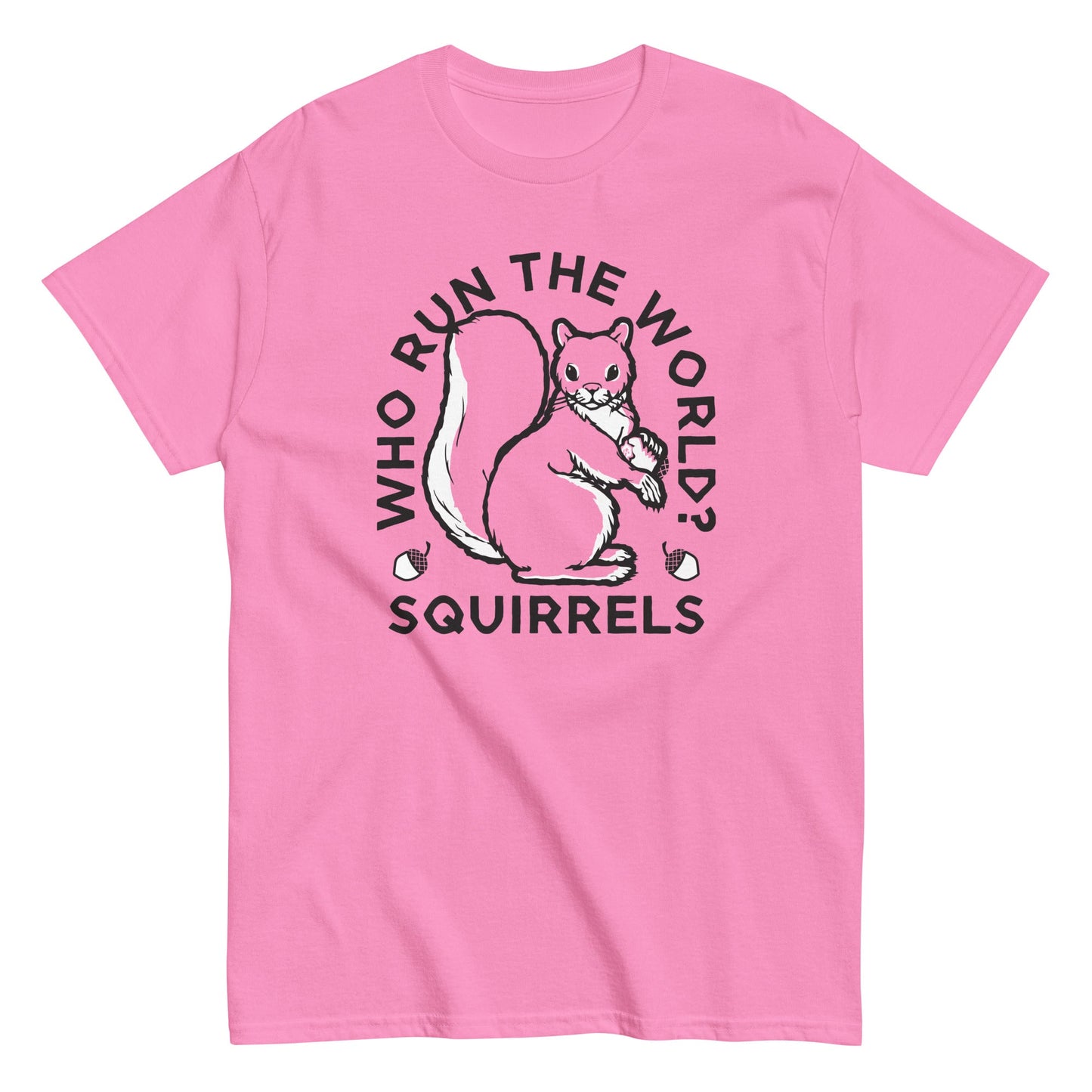 Who Run The World? Squirrels Men's Classic Tee