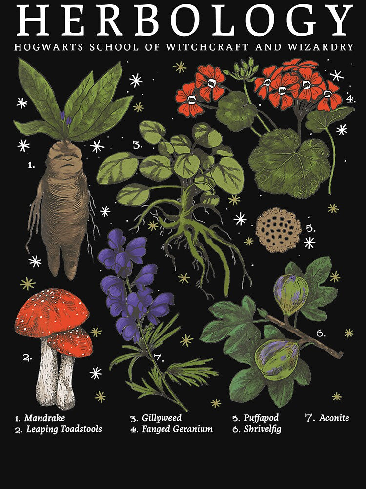 Herbology Plants by honeyandcotton