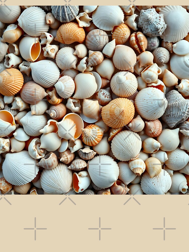 Shells 5 by HebaRK Studio